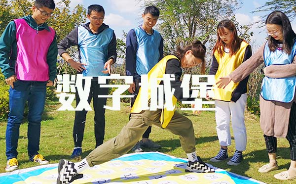 數(shù)字城堡